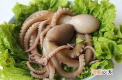 八爪鱼的营养价值 吃八爪鱼的好处