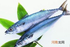 鲅鱼不能和什么一起吃 鲅鱼的食用禁忌