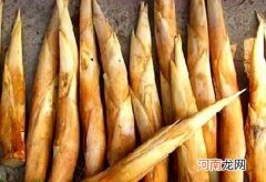 服用鞭笋时的注意事项有哪些