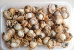 扇贝肉的内脏怎么处理