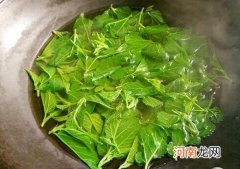 香椿叶煮水的功效与作用