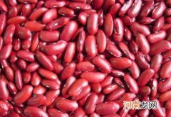 红芸豆不适合什么人吃 吃红芸豆的副作用