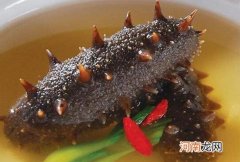 海参怎么样吃好 海参的正确吃法