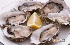 海蛎子和生蚝的区别