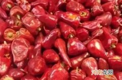 子弹头辣椒和二荆条的区别