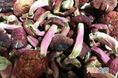 血菇怎么做好吃 血菇的家常做法
