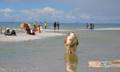 ?去西藏旅游 高原反应头疼的应对方法