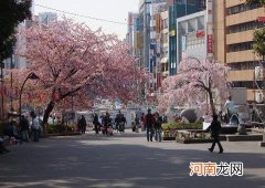 去日本应留意什么商务文化礼仪及忌讳