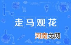 走马观花的故事