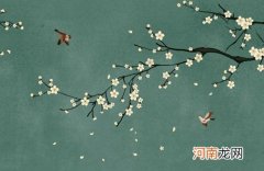 2022年出生豪迈的男孩起名 虎年最有深意的名字男孩版