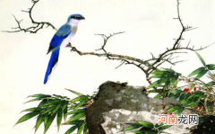 虎年新开的企业怎么取名有内涵 2022年高雅又有内涵的公司名字