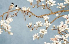 2022年11月20日出世甜美重叠字女孩名字 虎年寓意女孩健康成长名字