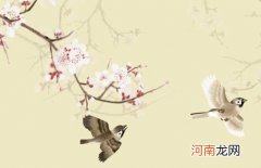 2022年属虎新生儿宝宝叫什么好 虎年寓意好有创意的宝宝名字