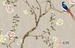 2022年9月6日出生属虎男孩起名 寓意男孩清新脱俗的好名字