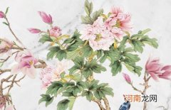 2022年9月7日出生品德兼备的男孩起名 寓意品德高尚的男孩名字