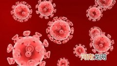 艾滋病病毒会通过蚊子传播吗？