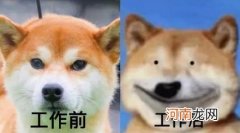 网络流行语“累丑”是什么意思？