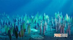 人体中仍有5.55亿年前的海洋生物基因