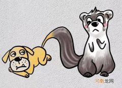 “狗尾续貂”一词是怎么来的