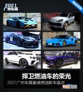 捍卫燃油车荣光 车展最速燃油新车盘点优质