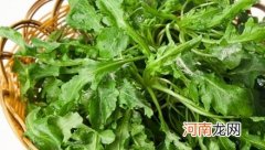 荠菜的含钙量比牛奶的更高？