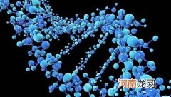 人和人之间有99.9%是相同的？