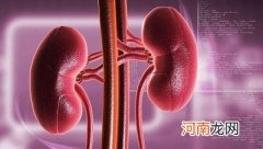 肾脏每天要清洗多少升的血液？