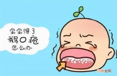 最适合孕妇吃的4种食物 怀孕吃什么对胎儿好