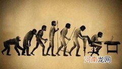 人类是不是在食物链的顶端？