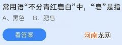 成语“青红皂白”的“皂”是什么颜色？