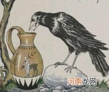 乌鸦往瓶子里丢石子喝水是真的吗