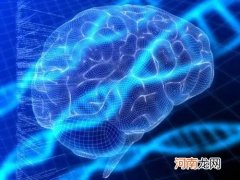 人在死后的几个小时 一些大脑基因更加活跃