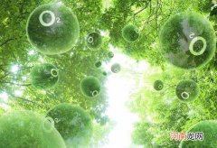 为什么大气中的氧气不能过多