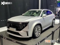 2021广州车展探馆：WEY赛博摩卡抢先拍