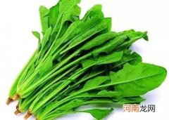 菠菜原是进献给唐太宗的贡品