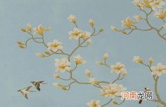 2023兔年爱又软萌的新生儿小名 属兔宝宝1月出生叫什么好