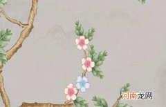 2022年9月14日出生高分的女孩起名 虎年姓柏的女孩名字大全