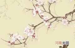 2023年男孩好听顺口的名字 楚辞中罕见高分男孩名字精选