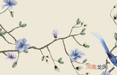 2022年9月21日出生带寓意的张姓女孩100分名字