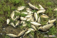 野钓选择钓位技巧:这些位置是“万能钓位”，一年四季都是鱼窝