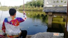 遛鱼怎么防止断竿？带你认识各个角度鱼竿的受力值