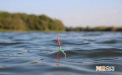 有些时候浮漂也会和钓鱼人作对