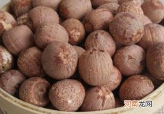 中药红莲子的功效与作用