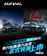哈弗H6S正式上市 售价13.89-16.49万元