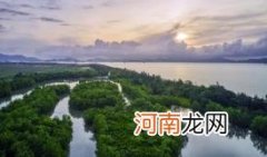 2022广东省中秋节高速公路免费吗优质