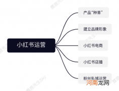 品牌方的小红书运营团队组织架构设计方案