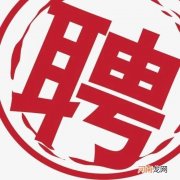 就业对新入职员工的几点看法