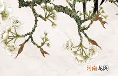 2023年3月3日出生有气质的男孩起名 虎年安姓取名字大全男孩