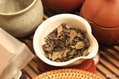 福建白茶最为著名