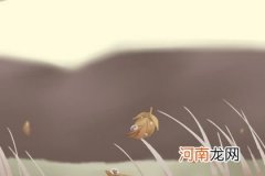 2022年3月出生葛姓取名字大全男孩 兔年寓意祥和的男孩名字